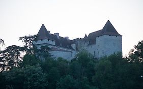 Chateau De Goudourville